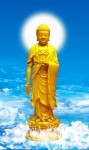 Phật Thuyết Đại Thừa Vô Lượng Thọ Trang Nghiêm Thanh Tịnh Bình Đẳng Giác Kinh (Tập 369)